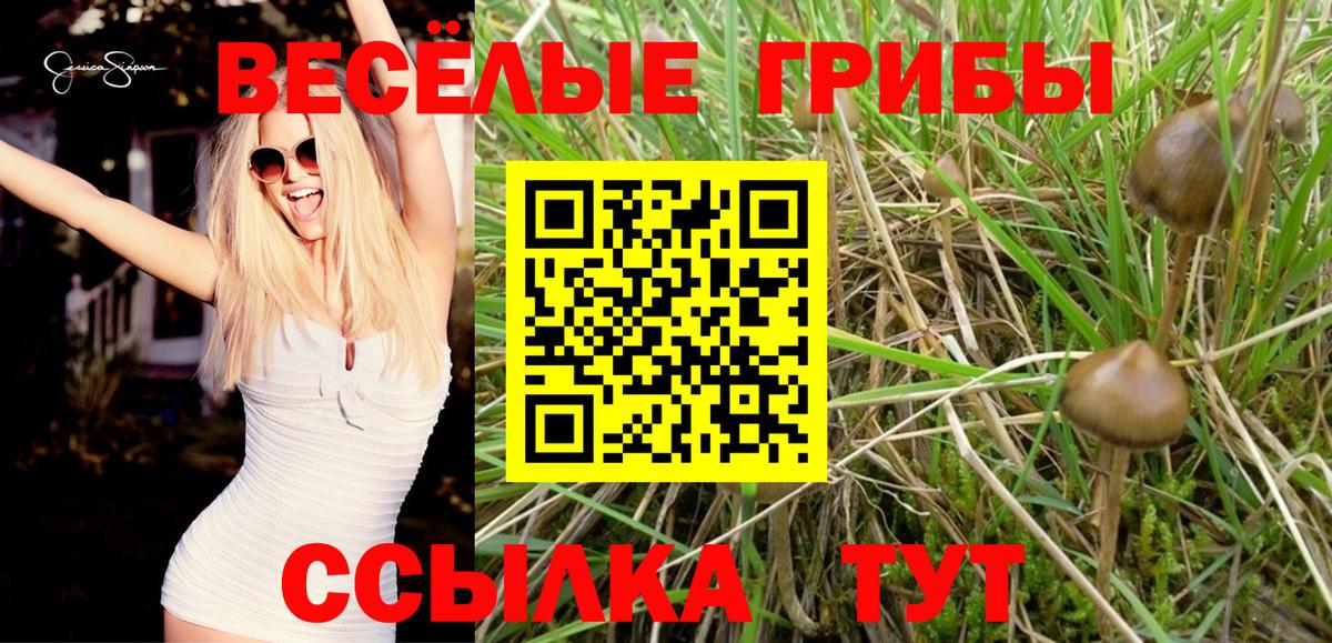 Галлюциногенные грибы Magic Shrooms Волоколамск