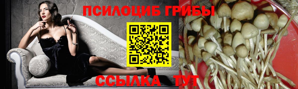 Псилоцибиновые грибы мухоморы  Вход с VPN  Галлюциногенные грибы Cubensis  Волоколамск 